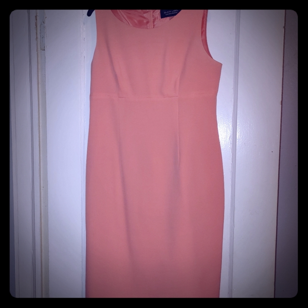 Black Label Pinkish Peach Dress Size 8
